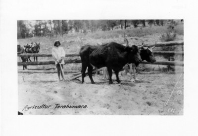 Agricultor tarahumara
