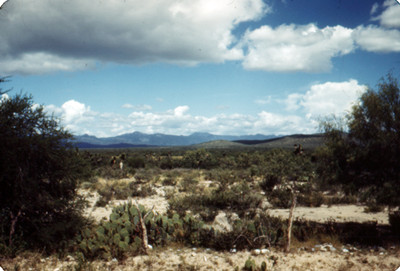 Desierto, visto desde la autopista panamericana