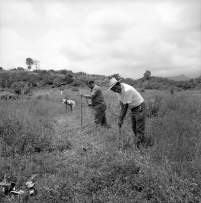 Arqueólogos realizan trabajo de campo
