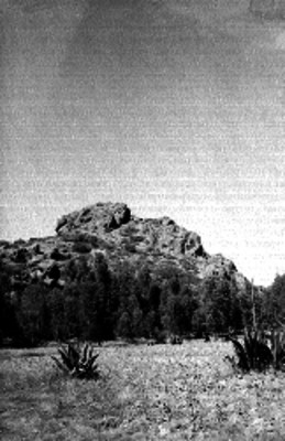 Elevación rocosa y campo de cultivo, con árboles y magueyes