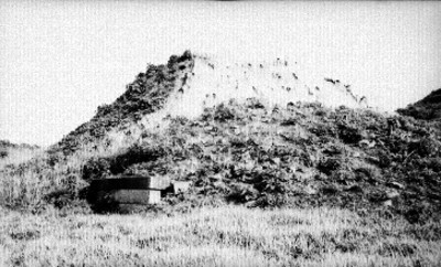 Edificio 5 antes de su excavación