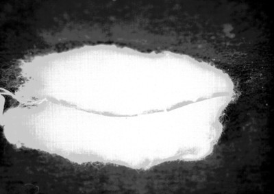 Material tubular procedente de la tumba de Pakal