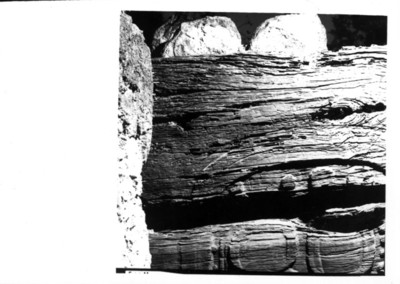 Glifo maya tallado sobre madera, detalle
