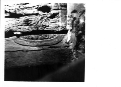 Glifo maya sobre madera, detalle de un costado
