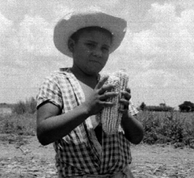 Niño campesino con elotes en un campo de cultivo en Tamaulipas