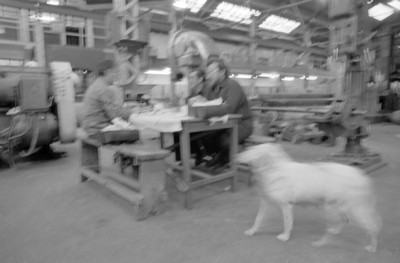 Obreros laboran en un mesabanco junto a maquinaria