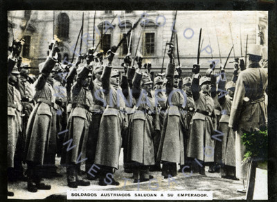 Soldados austriacos saludan a su emperador