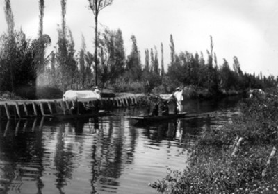 Canal con tránsito de trajineras