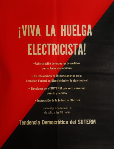 Viva la Huelga Electricista, Tendencia Democratica SUTERM