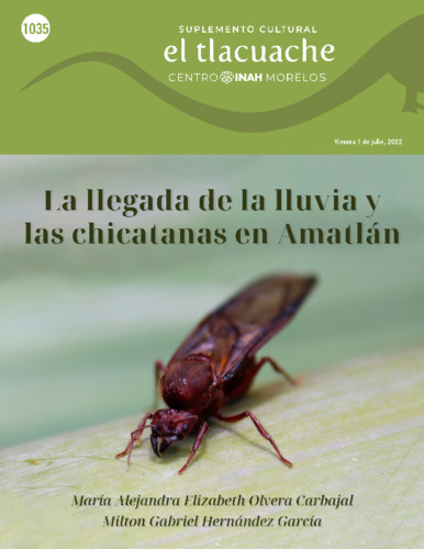 issue:3168