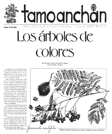 Tamoanchan. 1999-04-19 (1999)