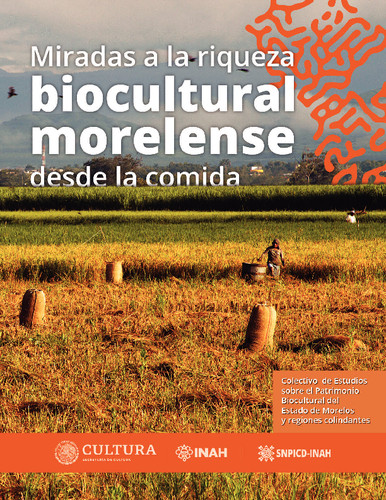 Miradas a la riqueza biocultural morelense desde la comida