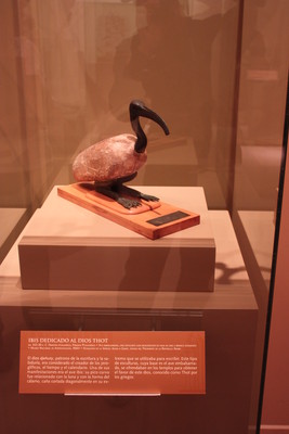 Ibis dedicado al dios Thot