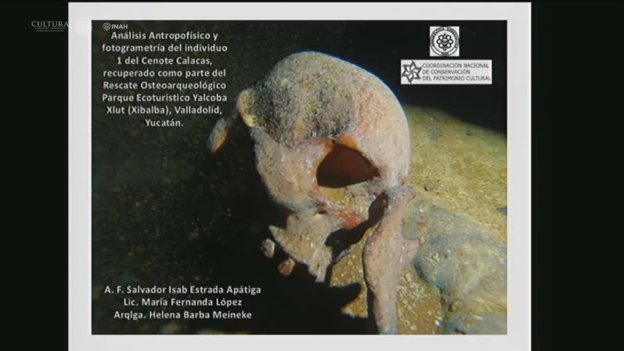 Arqueología Subacuática 3 - Mesa 8