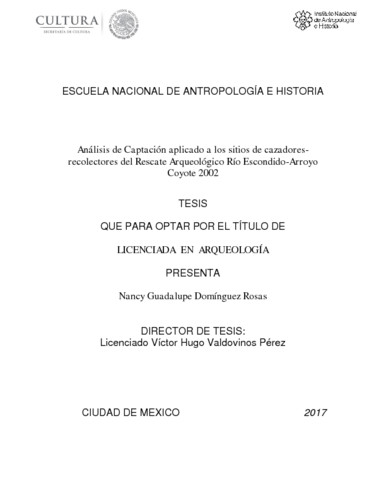 Análisis de captación aplicado a los sitios de cazadores-recolectores del rescate arqueológico río Escondido-Arroyo Coyote 2002