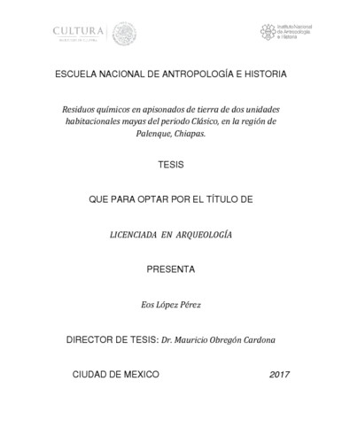 Residuos químicos en apisonados de tierra de dos unidades habiacionales mayas del periodo clásico, en la región de Palenque, Chiapas