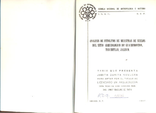 Análisis de fitolitos de muestras de suelos del sitio arqueológico de Guachimonton,Teuchitlan, Jalisco