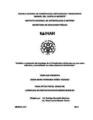 Análisis y evaluación del mucílago de la Prosthechea citrina para su uso como adhesivo y consolidante en sedas altamente deterioradas