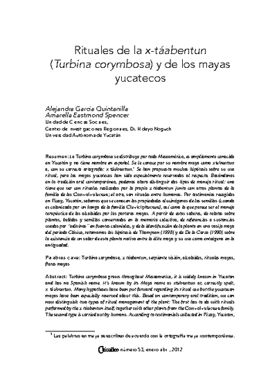 Rituales de la x-táabentun (Turbina corymbosa) y de los mayas yucatecos