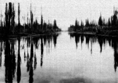 Canal en Xochimilco