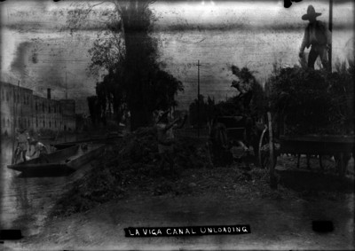 LA VIGA CANAL UNLOADING