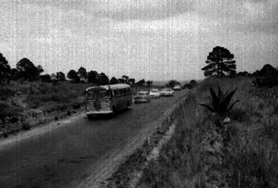 Autobus con ruta Nautla- Verácruz y automóviles transitando una carretera