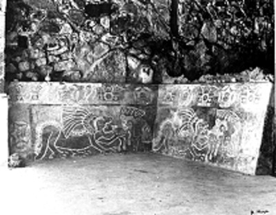 Murales de felinos en el patio de los jaguares, reprografía
