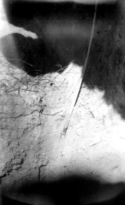 Ofrenda del adoratorio, lado norte, vista parcial