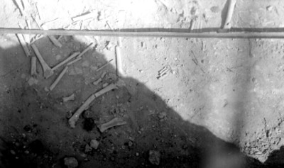 Ofrenda del adoratorio, vista parcial