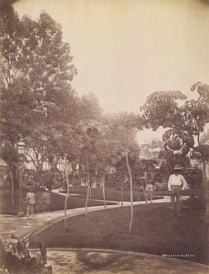 "Jardín del atrio" de la Catedral Metropolitana