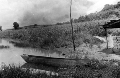 Trajinera a la orilla de un canal