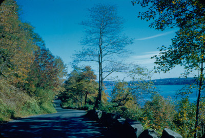 Vista de camino junto a