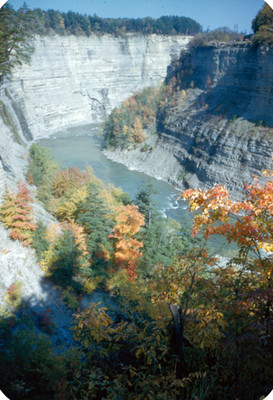 Vista panorámica de rio