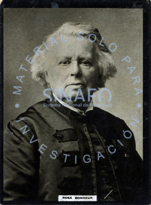 "Rosa Bonheur", retrato