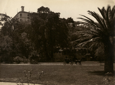 Calzada de la palma