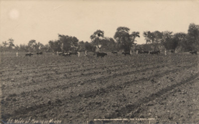 Mode of plowing in México
