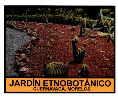 Jardin Etnobotánico