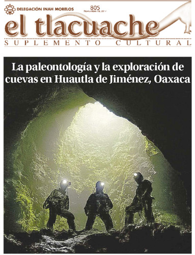 issue:2004