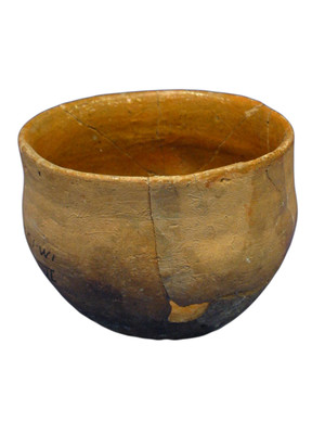 Tazoncito